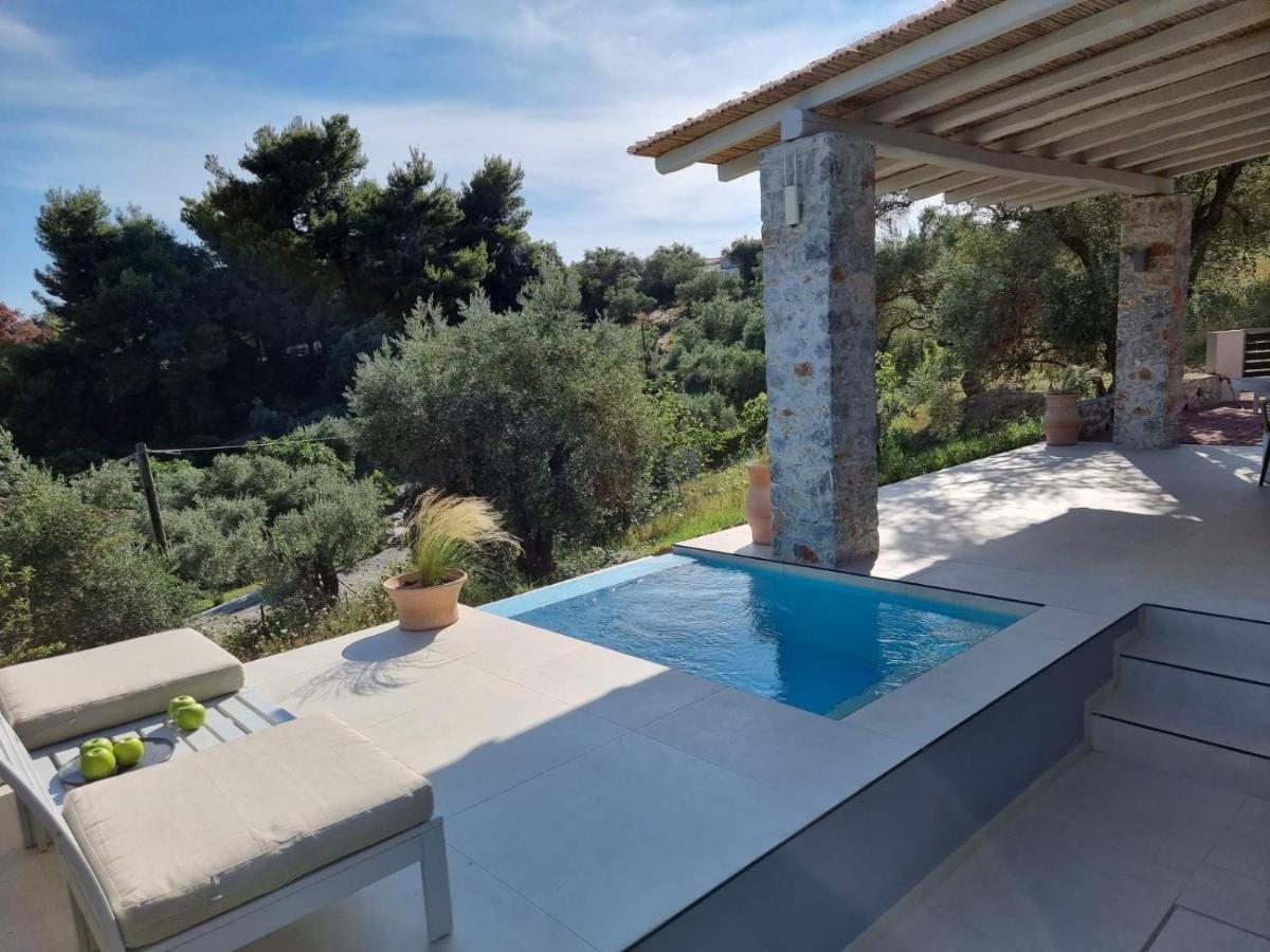 Stone Build Suite With Private Pool 克里奥斯 外观 照片